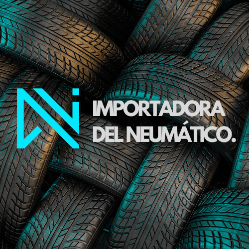 NEU. XBRI 225/65R16C 8PR 112/110R CARGOPLUS 2